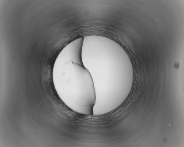 X0000089940328200707271824