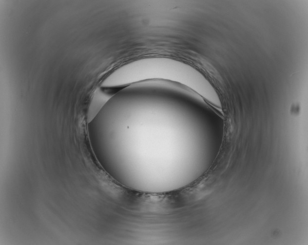 X0000089940329200707271824