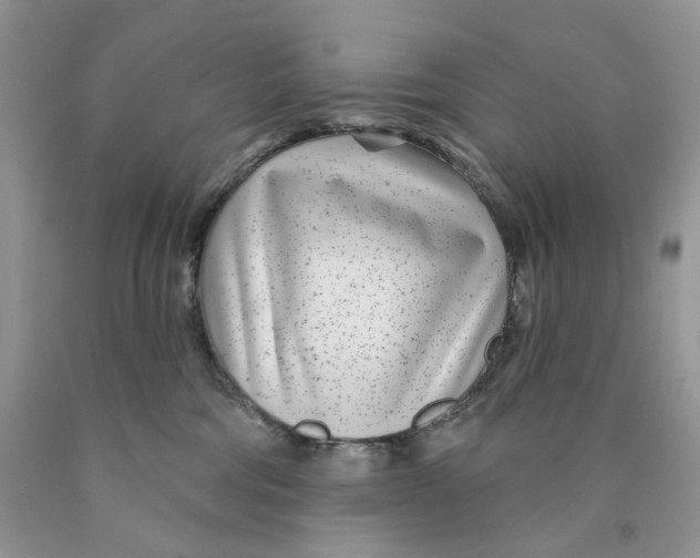 X0000089940330200707271824