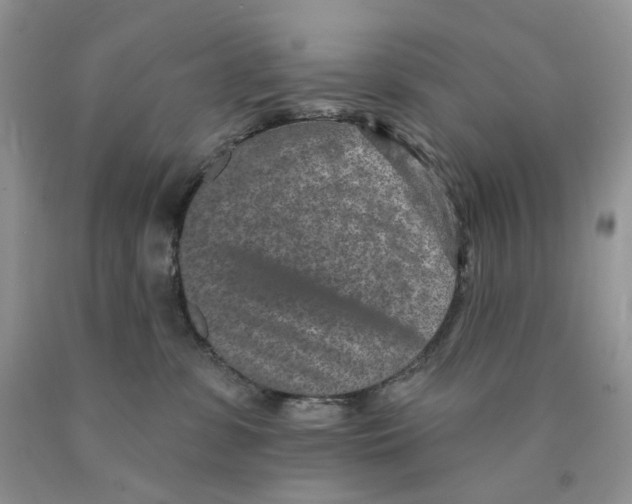 X0000089940331200707271824