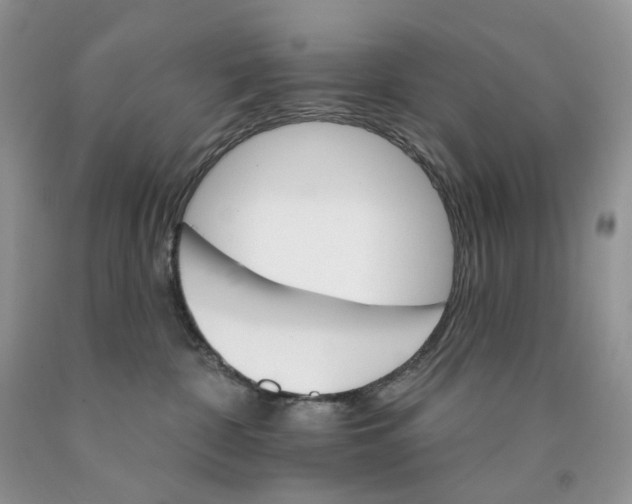 X0000089940332200707271824