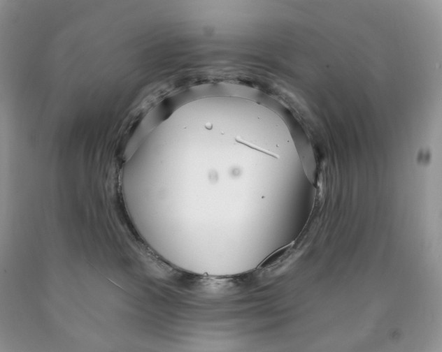 X0000089940333200707271824