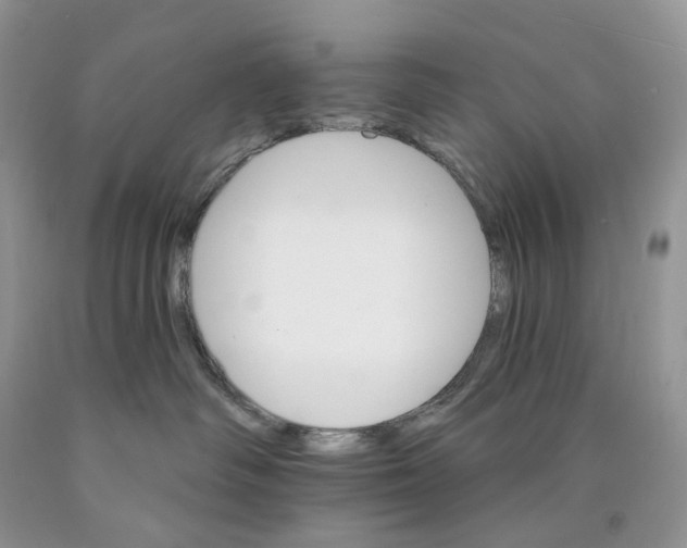 X0000089940334200707271824