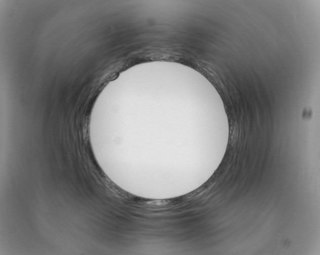 X0000089940335200707271824