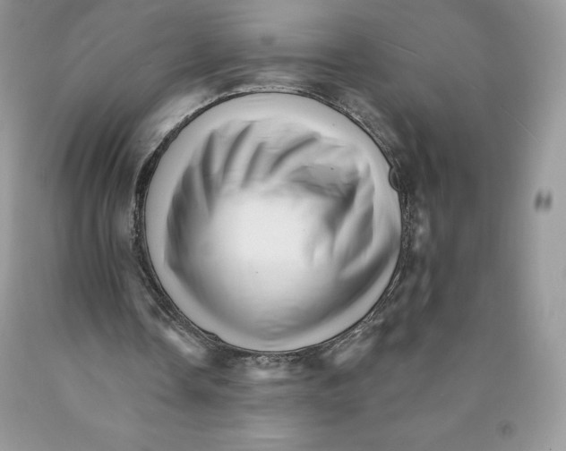 X0000089940338200707271823