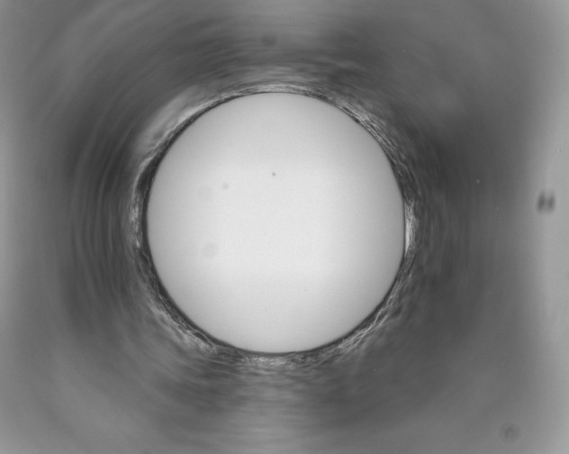 X0000089940339200707271823