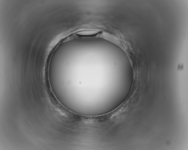 X0000089940340200707271823
