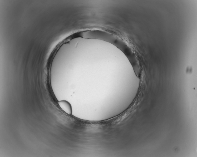 X0000089940342200707271823
