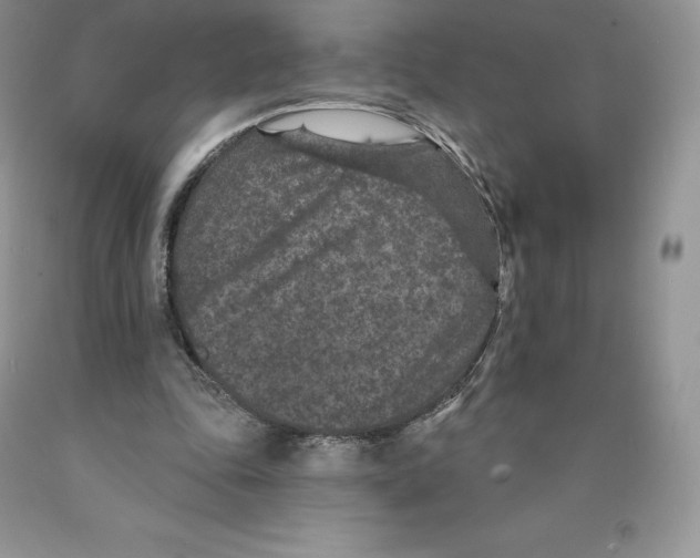 X0000089940343200707271823