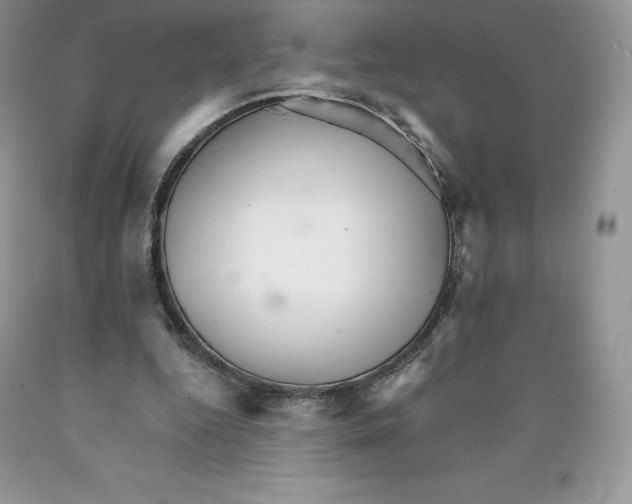 X0000089940344200707271823