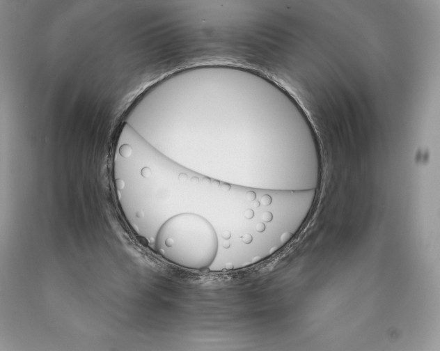 X0000089940345200707271823