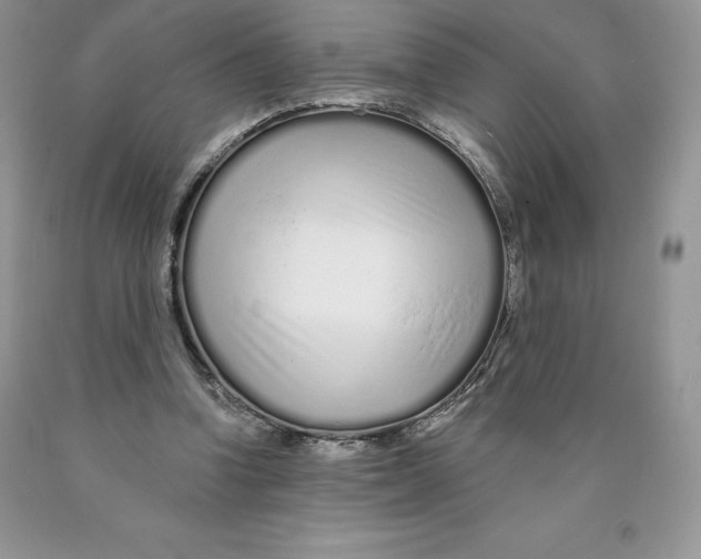 X0000089940346200707271823