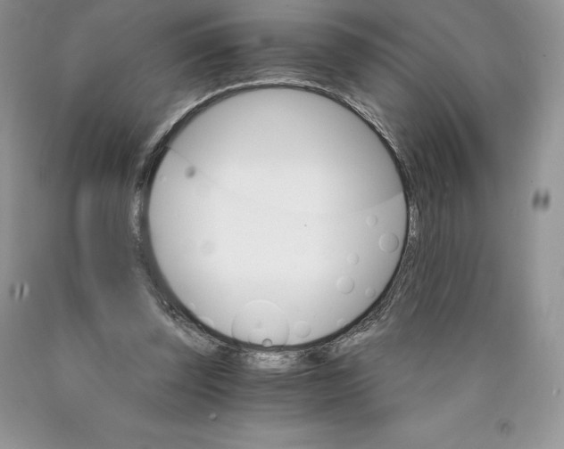X0000089940347200707271823