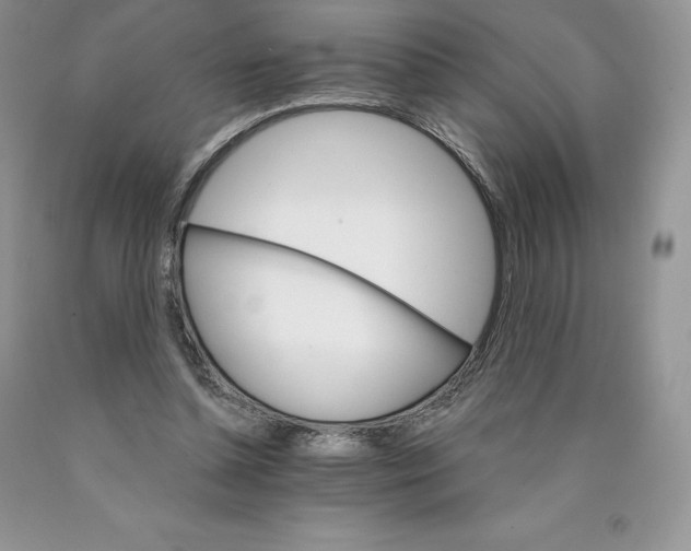 X0000089940348200707271823
