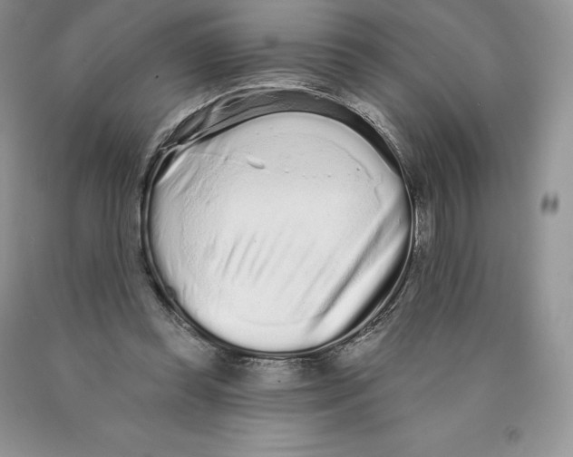 X0000089940349200707271823