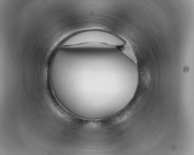 X0000089940350200707271823