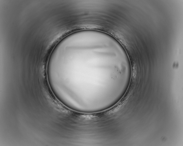 X0000089940351200707271823