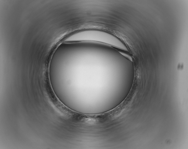 X0000089940352200707271823
