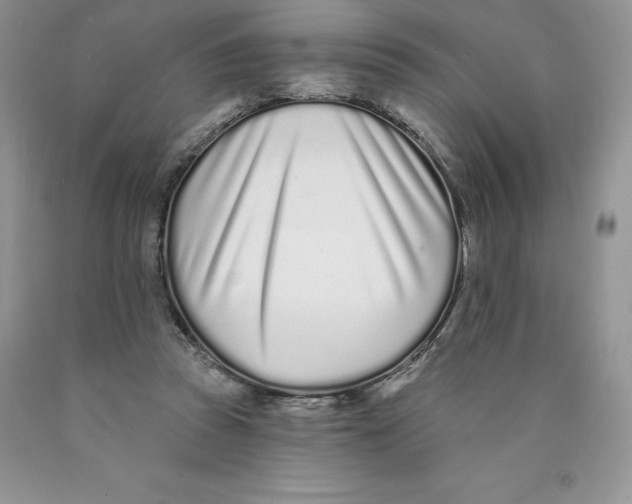 X0000089940353200707271823