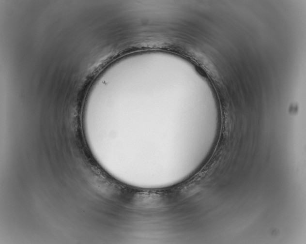 X0000089940354200707271823
