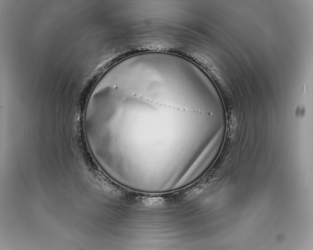 X0000089940355200707271823