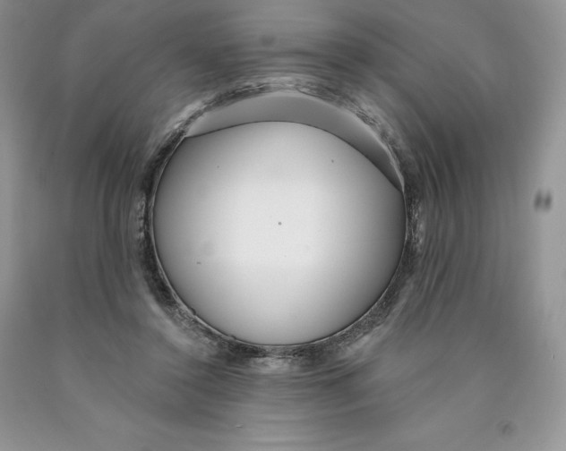 X0000089940356200707271823
