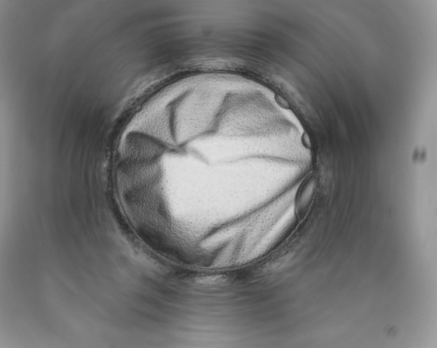 X0000089940357200707271823