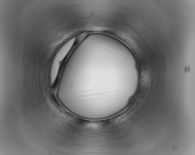 X0000089940358200707271823