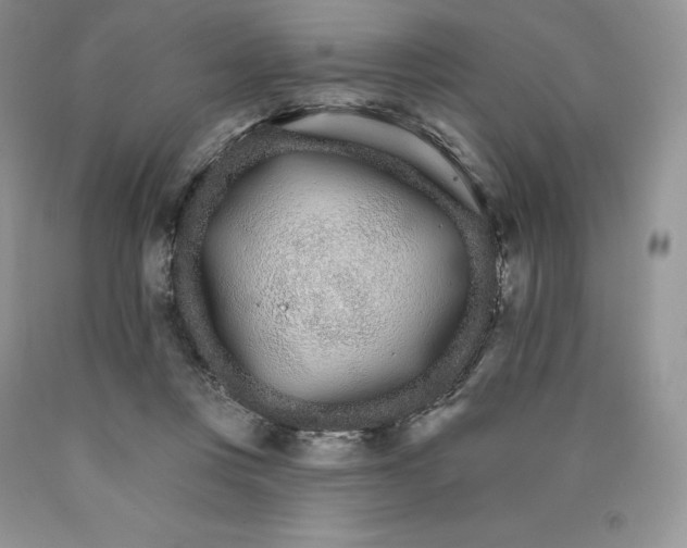 X0000089940359200707271823