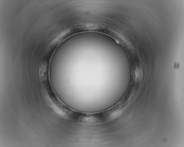 X0000089940360200707271823