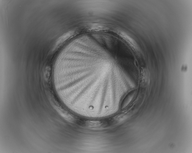 X0000089940361200707271823