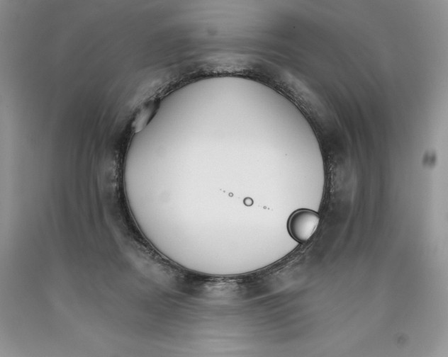 X0000089940362200707271823