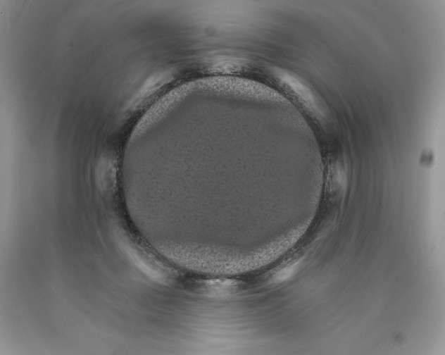 X0000089940363200707271823