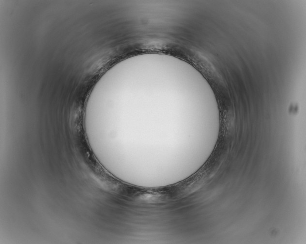 X0000089940364200707271823