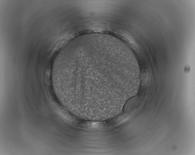 X0000089940365200707271823