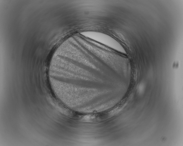 X0000089940366200707271823