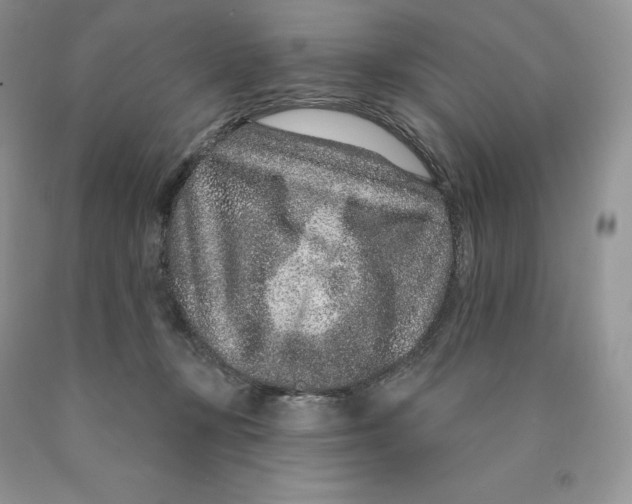 X0000089940367200707271823