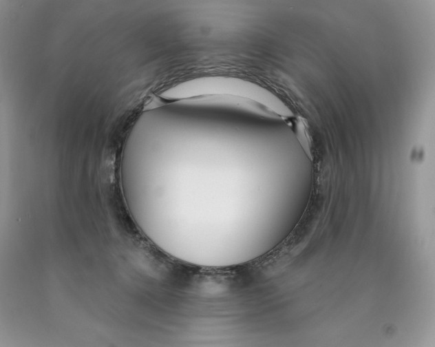 X0000089940368200707271823