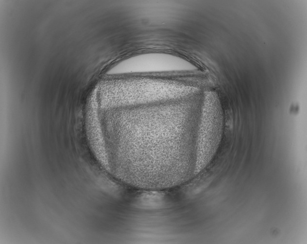 X0000089940369200707271823