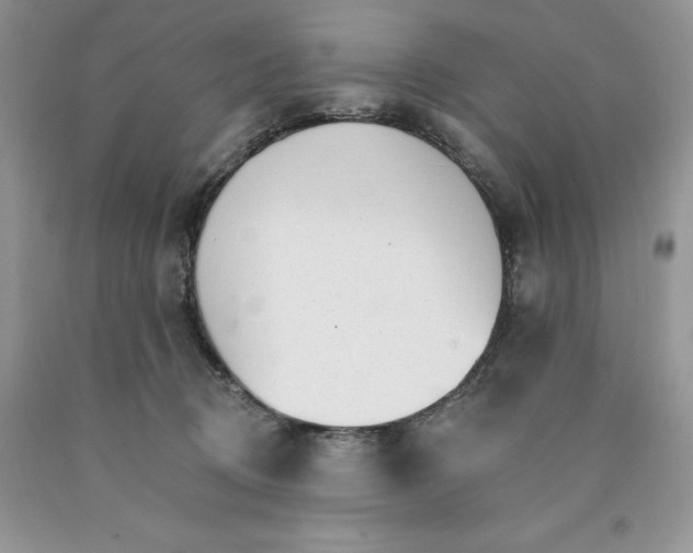 X0000089940370200707271823