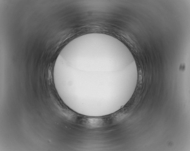 X0000089940371200707271823