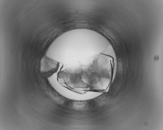 X0000089940373200707271823
