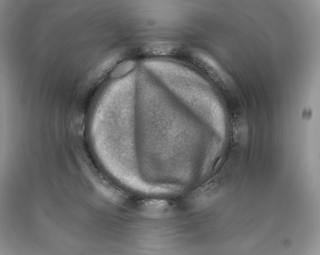 X0000089940374200707271823