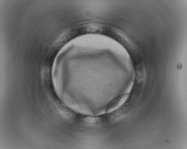 X0000089940375200707271823