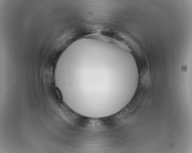 X0000089940376200707271823