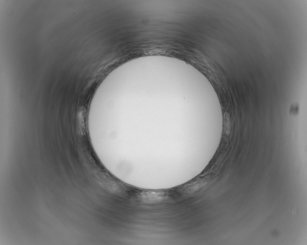 X0000089940378200707271823