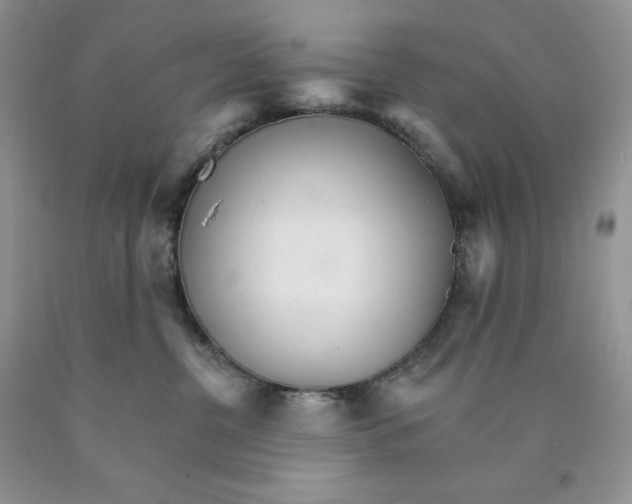 X0000089940380200707271823