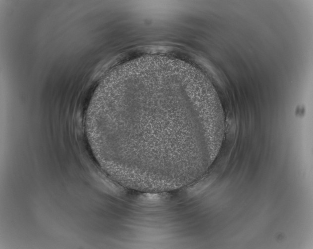 X0000089940381200707271823