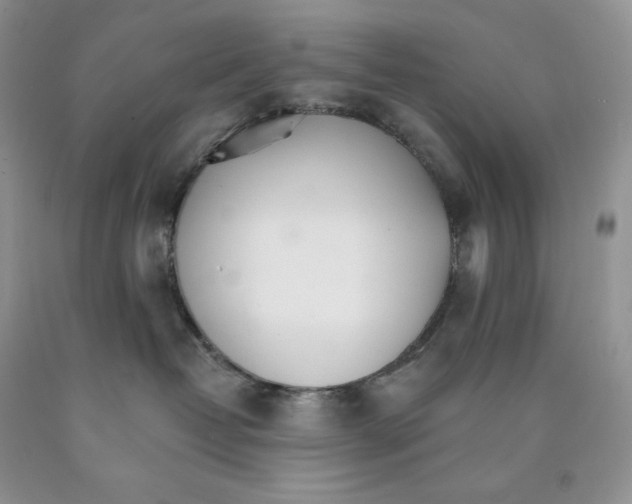 X0000089940382200707271824