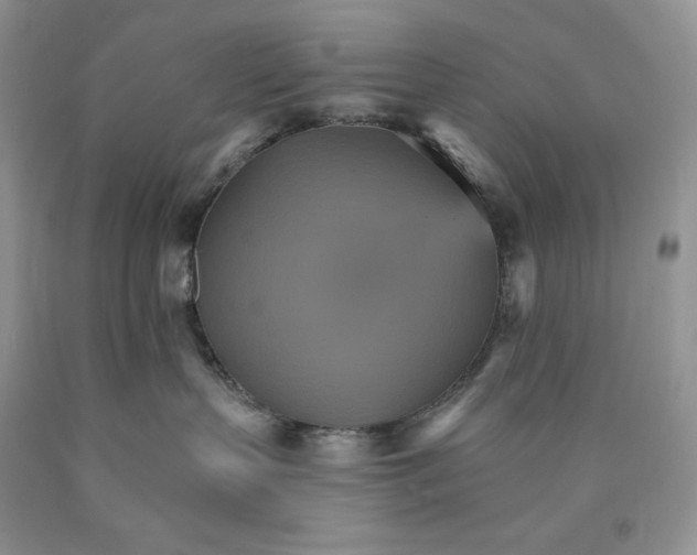 X0000089940383200707271824